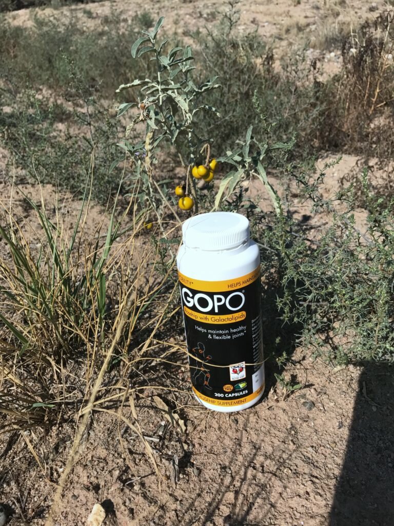 WHAT'S THE DEAL WITH GOPO + GIVEAWAY- FOLLOW OUR PASSION