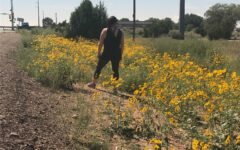 WHY I BELIEVE IN BEING ACTIVE & NOT WORKING OUT