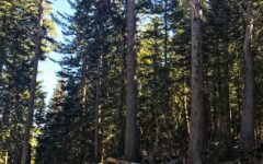 What I'm Loving Lately 10.27.17-Follow Our Passion