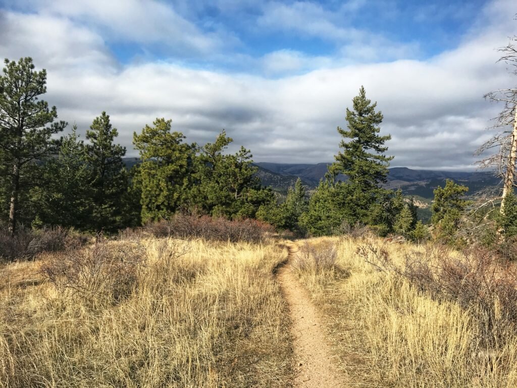 BOULDER CITY GUIDE