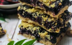 Mood Boosting Blueberry Chia Jam Crumb Bars (Paleo)